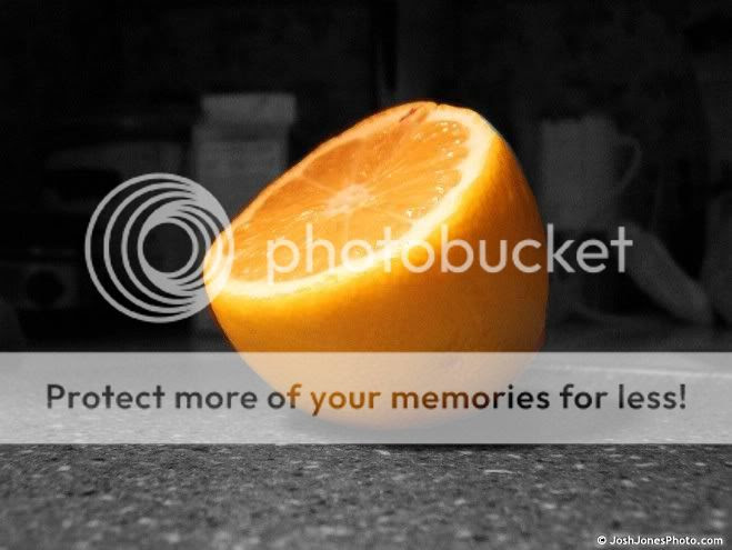 Photography from January 2005