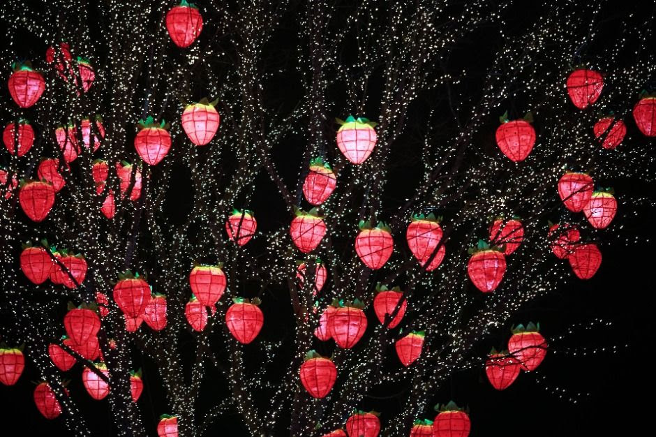 論山イチゴ祭り（논산딸기축제）の写真