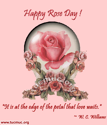 happy rose day quotes. Happy Rose Day Comments