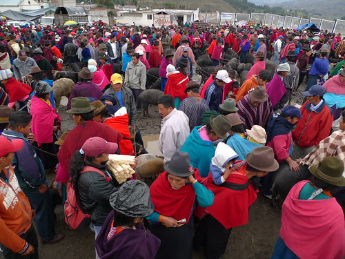 Thursday Market - Guamote, Ecuador