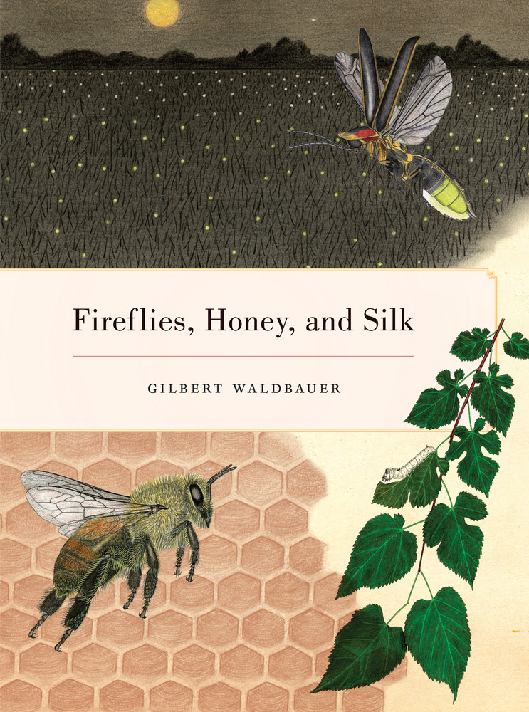 Fireflies Honey And Silk