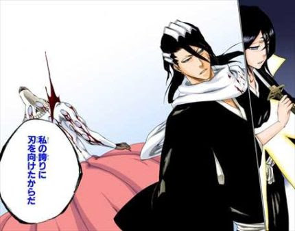 私がいつ死神として貴様を斬るなどとと言った 私が貴様を斬るのは ただ 貴様が私の誇りに刃を向けたからだ Bleach