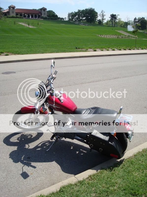 triumph king queen seat