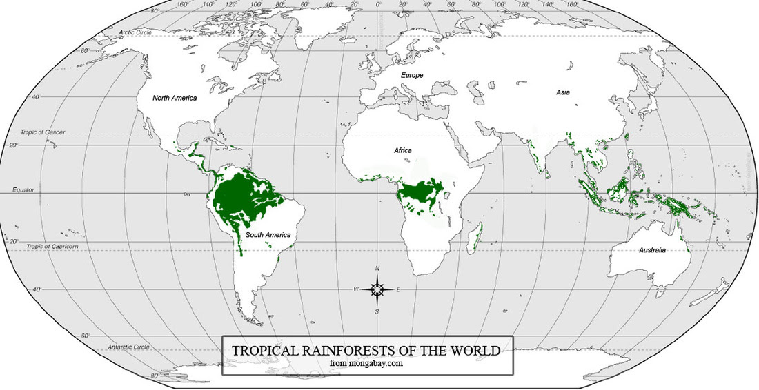 Geology Amazon Rainforest