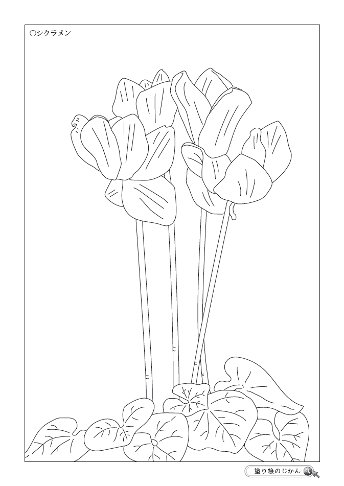秋の花ぬりえ 塗り絵のじかん