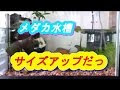 画像をダウンロード メダカ 水槽 大きさ 240116-メダカ 水槽 大きさ 数