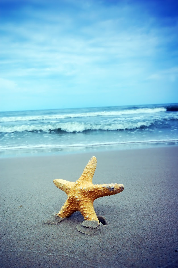 Wallpapers Pinterest Wallpapers Pinterest