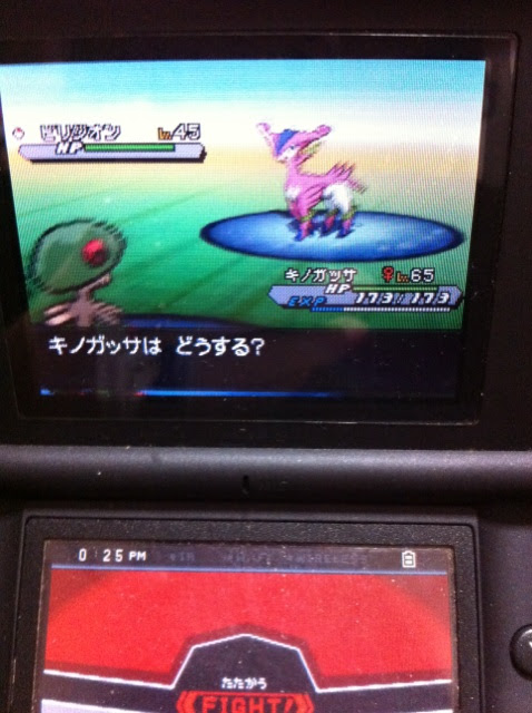 色違いに釘付け ビリジオン Bw2