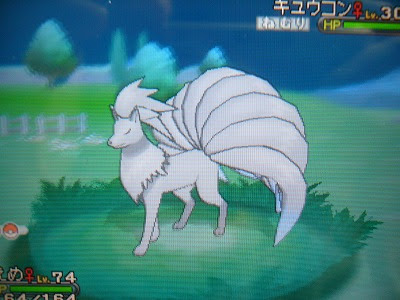 よもぎの色ポケコレクションブログ キュウコン ｘｙ版