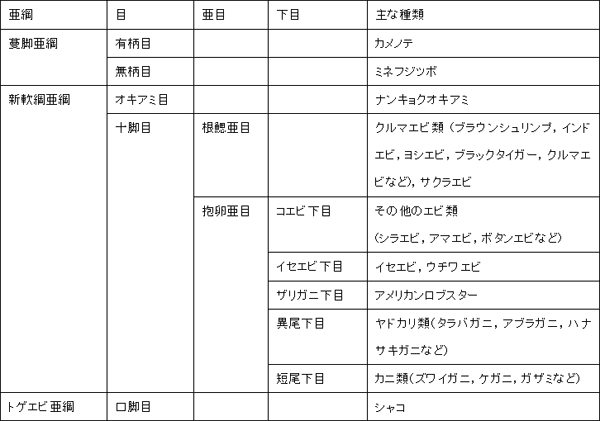 ザリガニ 分類
