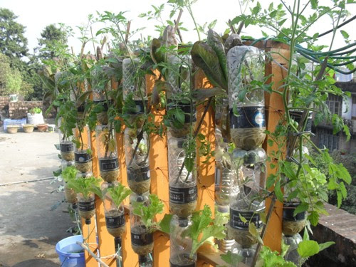 Aquaponics | Karshika Keralam – A site for Agricultural Enthusiasts