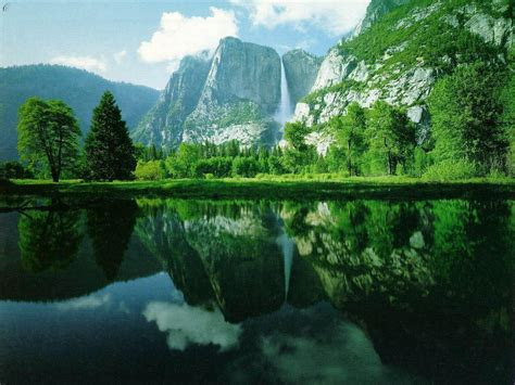 green nature hd wallpapers high definition