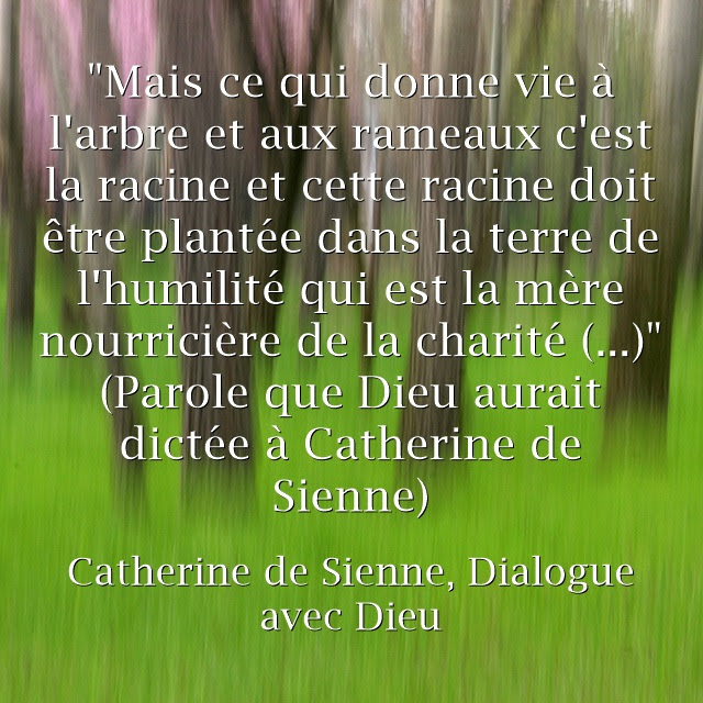 Citations De Catherine De Sienne Sainte Du Xiv Eme Siecle Moyen Age Une Italienne Artis