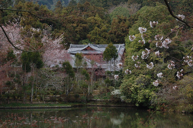 0779 - Templo Ryoanji
