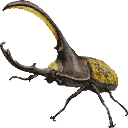 ブラシタッチヘラクレス大カブト No 232 ヘラクレスオオカブトのイラスト アイコン 条件付フリー素材集 スマホなど携帯電話対応