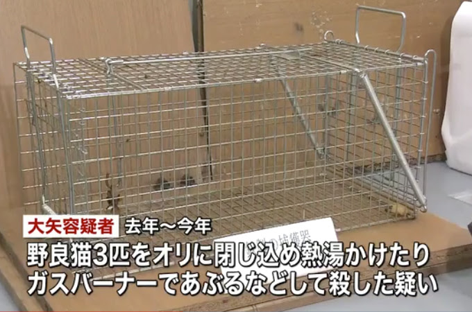 オリに閉じ込めた猫に熱湯をかけたりガスバーナーであぶるなどして殺した男が逮捕 これまでに13匹の猫を殺し動画をネットに流す Petfun 動物やペットに関する情報サイト