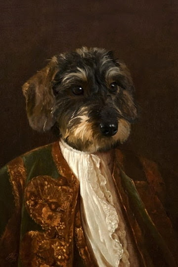 DIGI] Teckel in uniform • Bokt.nl