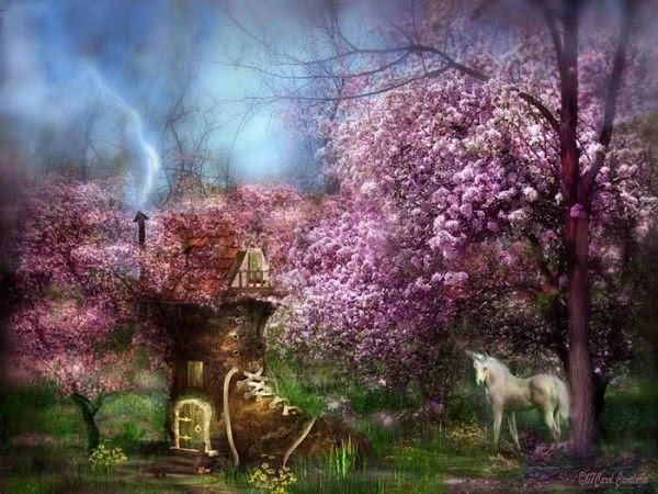 ANIMAUX : chevaux