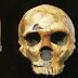 Denisovans Vs Neanderthals Vs Humans - Mysterious Archaic Cavemen - Denisovans - Were Relatives ... : 78 among extant populations of homo sapiens , the deepest temporal division is found in the san people of southern africa, estimated at close to 130,000 years, 79 or possibly more than 300,000 years ago.