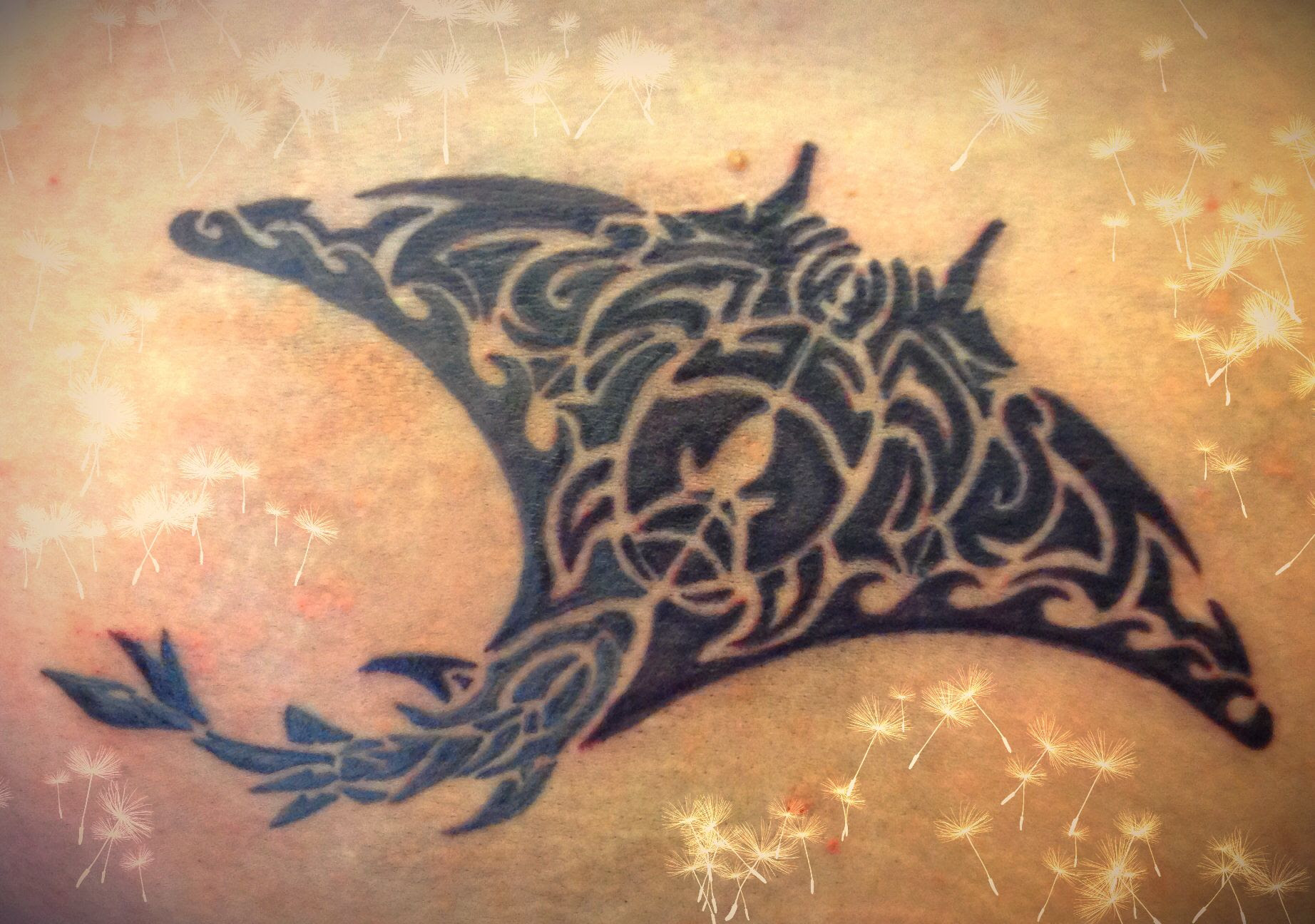 Tribal manta-ray tattoo what I didz | Tat's amazing ...