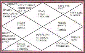 3)Graphical presentation of blood relations ruled by various houses