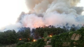 Imatge del foc de Vallbona de les Monges (@Agents_Rurals)