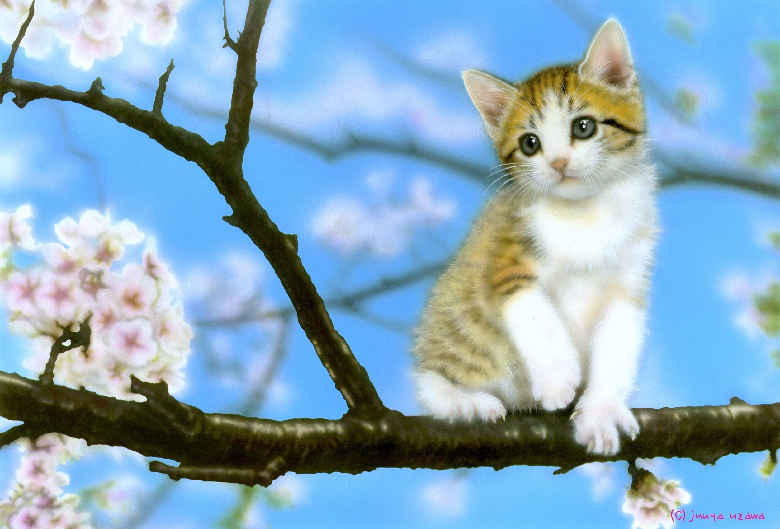 4月のデスクトップピクチャ 壁紙 Junya Blog 猫 犬 リアリズム絵画