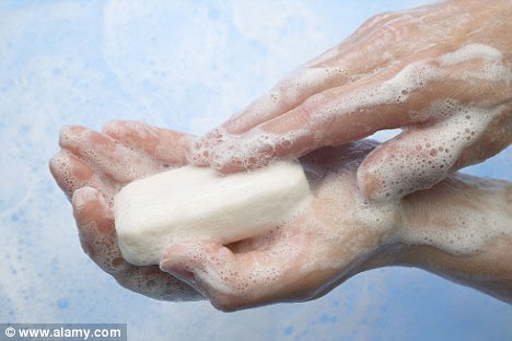 Preventative measures: The norovirus is easily spread through contaminated hands and surfaces so hygiene is key