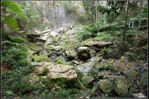 DSC02196