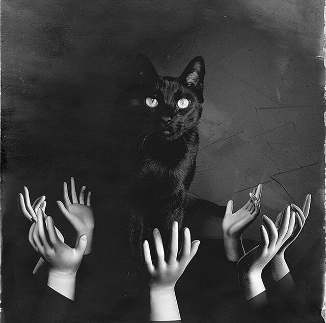 Creepy Black Cat Pictures, Photos, and Images for Facebook ...