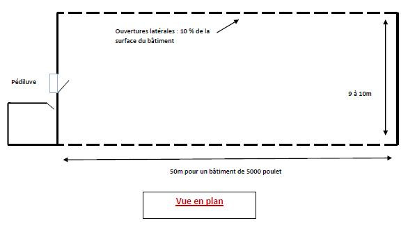 Aviculture Au Maroc