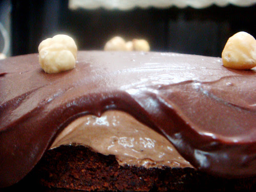 Chocolate Hazelnut Mousse Cake