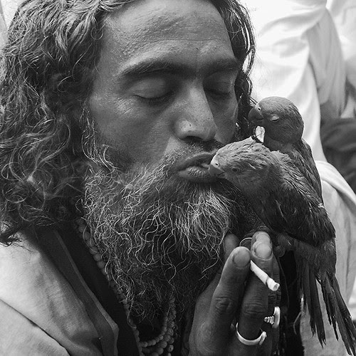 The Rafaee Of Ajmer ..With His Loving Pair..Love Smoke And Air by firoze shakir photographerno1