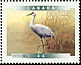 Sandhill Crane Grus canadensis Sandhill Crane Grus canadensis