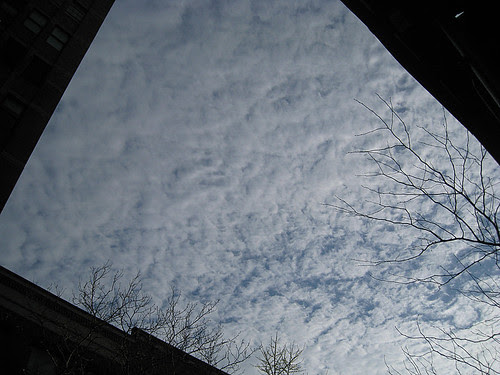 Morning Sky