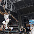 How To Watch March Madness For Free Online / The ncaa tournament starts on march 19 and ends on april 8, with 67 games over those 19 days.