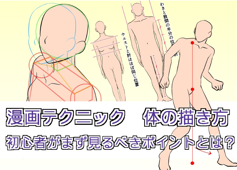 漫画テクニック 体の描き方 初心者がまず見るべきポイントとは Oyukihan S Blog 漫 パワー充電所