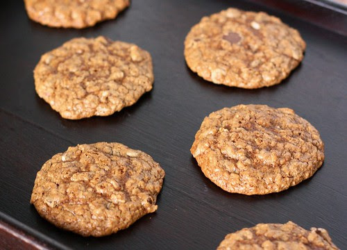2009.11.18 Espresso Chip Oatmeal Cookies