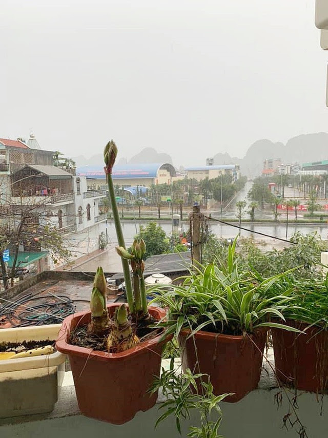 Tết đầu năm mưa gió bão bùng, dân tình dở khóc dở cười khoe ảnh du xuân đáng nhớ nhất trong lịch sử - Ảnh 26.