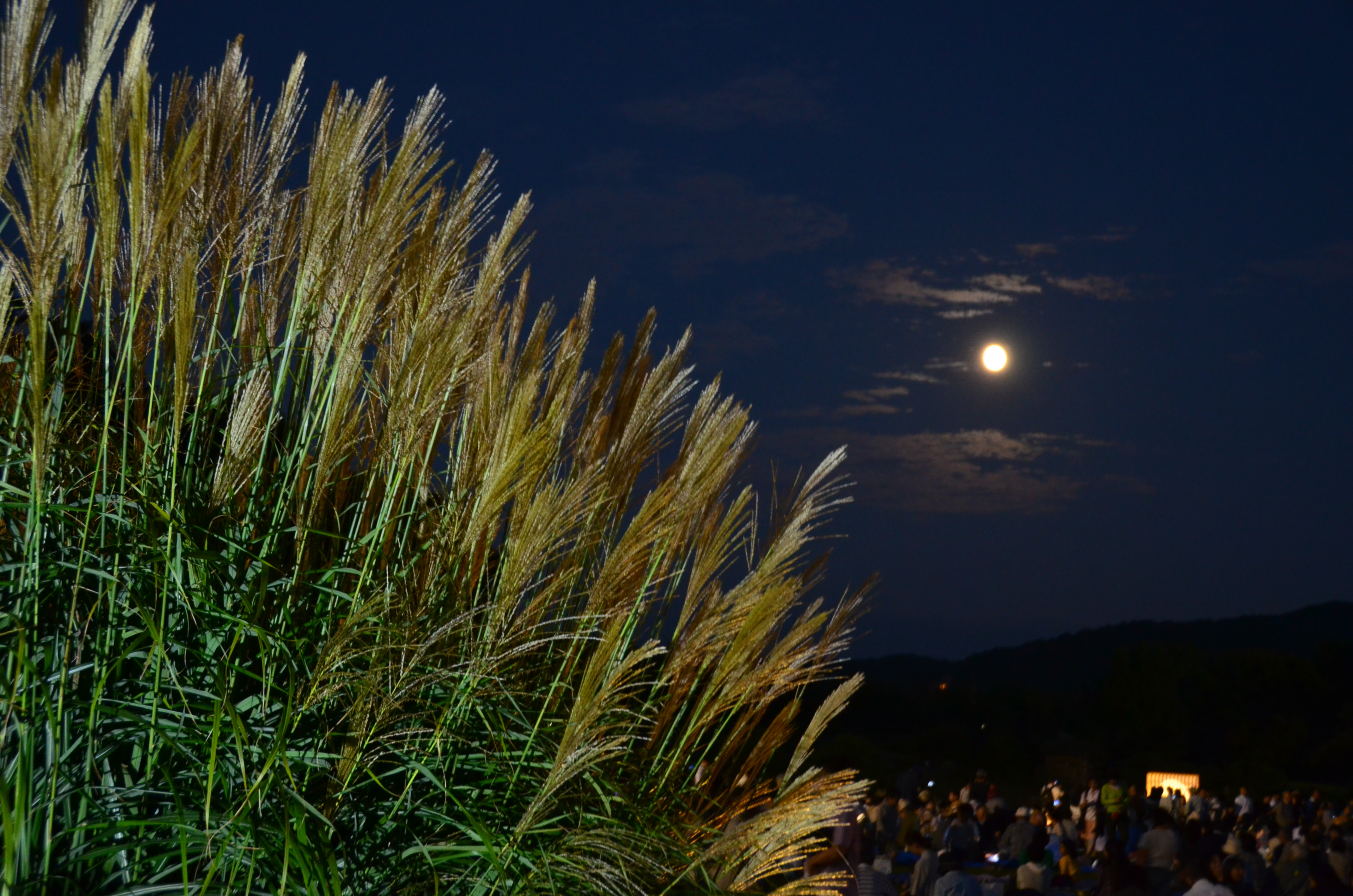 名月観賞会 Okayama Culture Scope
