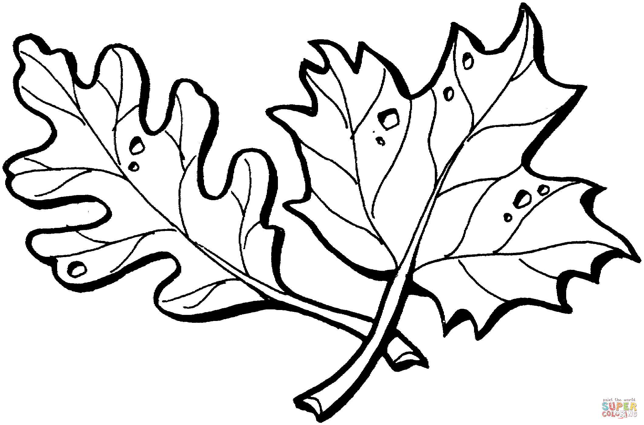 Clicca su disegni da colorare di Foglie di quercia