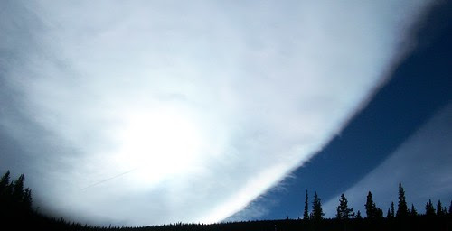 Echo Skies
