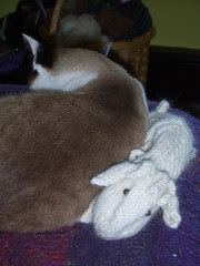 Ruby and the sheep