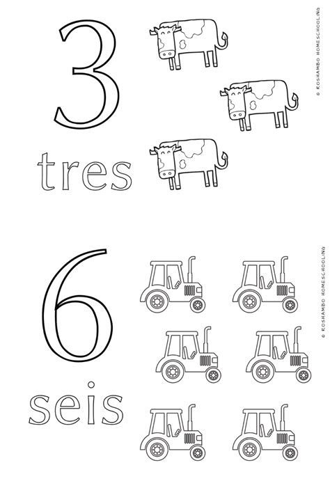  spanish numbers worksheets for kindergarten joanne thomas 2nd grade