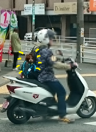 昨日はspa 明日は鈴鹿へ それでもみんなバイク好き