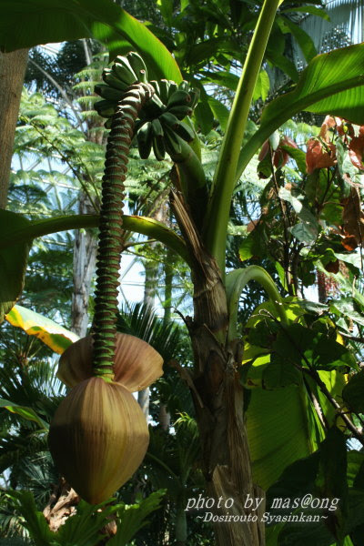 新潟県立植物園 新潟市秋葉区