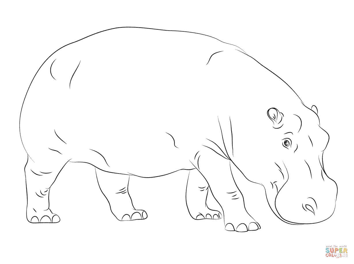 Hippo Coloring Pages at GetColorings.com | Free printable ...