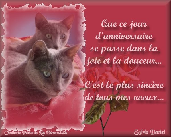Joyeux Anniversaire Un Peu De Tout Du Rire Et Du Serieux