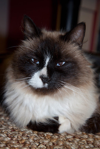 Clarence