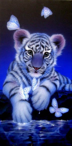 Bebe Tigre Blanc
